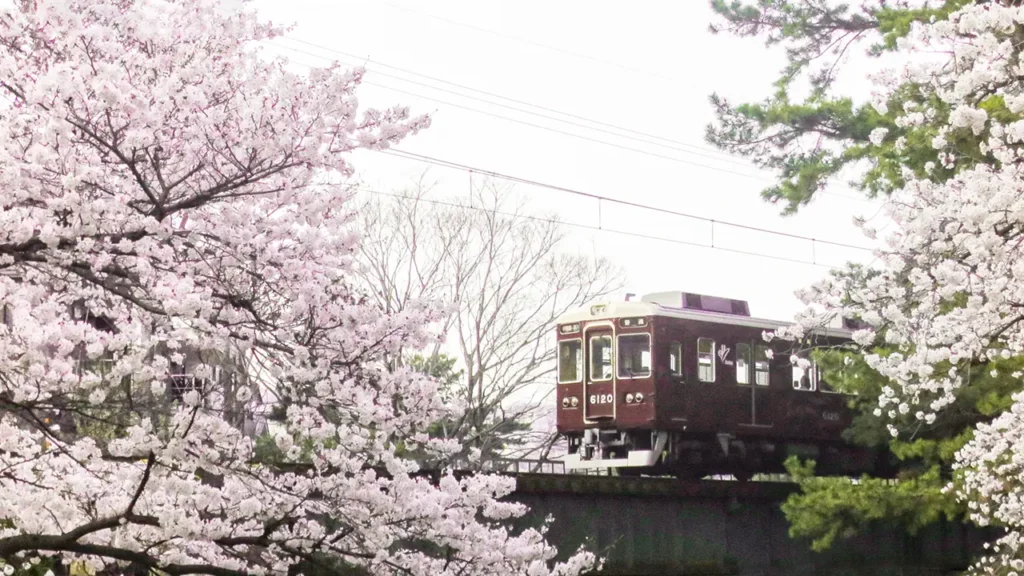 夙川公園