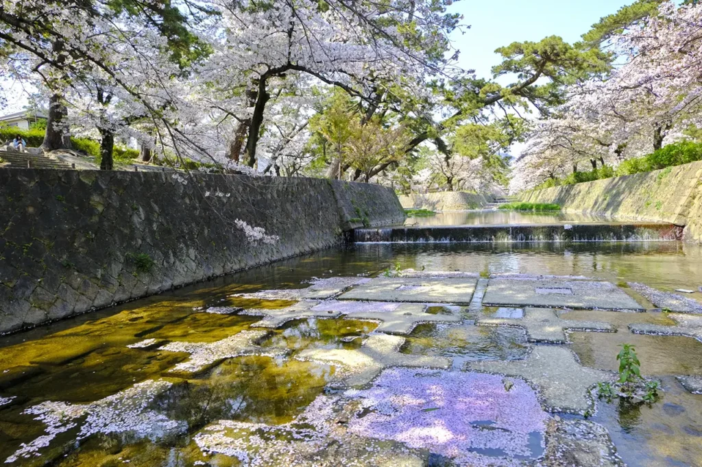 西宮市の魅力をご紹介します